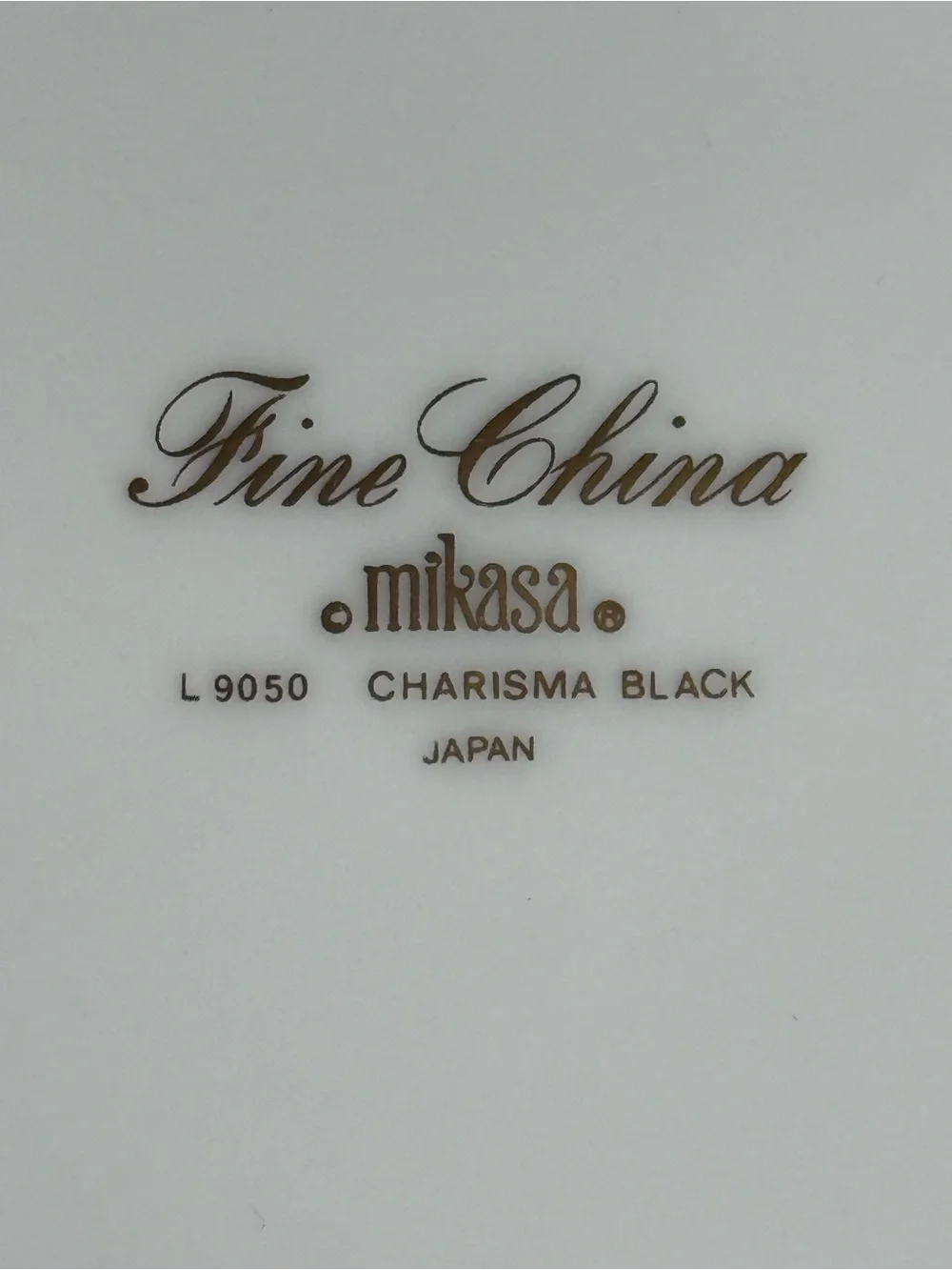 Mikasa Charisma Black L9050 Fine China Dinner Plates Set of 12